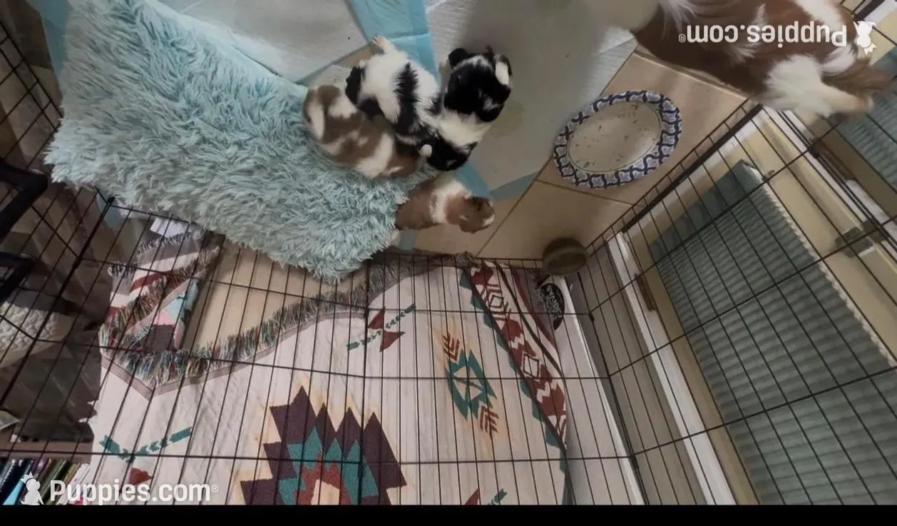 processed/011a496d-a309-419e-aea4-3db2733fbe57/facility/4fb192a3-9c76-487f-8770-a7f14e35da77