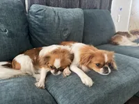 processed/011a496d-a309-419e-aea4-3db2733fbe57/facility/957482f7-8b6e-4e21-9290-e2b895fb1a99