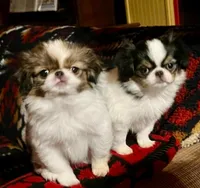 processed/011a496d-a309-419e-aea4-3db2733fbe57/facility/ca25cbdc-7418-4f45-ae91-9a6c3d2f198a