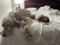 processed/011a496d-a309-419e-aea4-3db2733fbe57/facility/ed7533e1-32db-4b34-a9b0-5ab30484d3df