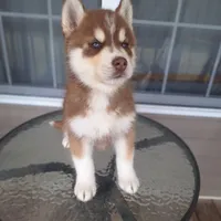 processed/011ee762-a290-41c9-a746-e75184ca8cd9/facility/d2ce5e1f-ec54-4920-a1cd-6f243e67956f