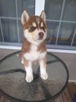 processed/011ee762-a290-41c9-a746-e75184ca8cd9/facility/d2ce5e1f-ec54-4920-a1cd-6f243e67956f