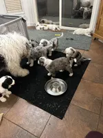 processed/011fb080-f473-4710-b6bd-8e5a1c803187/facility/480c9c8d-adf0-498d-8de1-b0604657ccc6