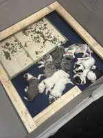 processed/011fb080-f473-4710-b6bd-8e5a1c803187/facility/65edfd45-5de0-4d77-9980-d49fb20b4aa5