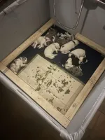 processed/011fb080-f473-4710-b6bd-8e5a1c803187/facility/72812c34-dc8c-4d60-b4b8-b3b5bdd4082a