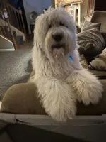 processed/011fb080-f473-4710-b6bd-8e5a1c803187/facility/bd77f4c5-7577-435a-8dd0-36126897c106