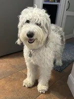 processed/011fb080-f473-4710-b6bd-8e5a1c803187/facility/c2072bf6-5e50-4b8d-ba9f-8554b6b6a20b