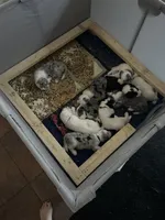 processed/011fb080-f473-4710-b6bd-8e5a1c803187/facility/c896c3e4-e620-445c-a840-cb2483c932f1