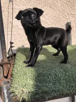 processed/01242441-9075-4842-a486-09b2fdadbd9b/listing/103af52a-e1e9-4806-8ba0-61964c227852/1eeb6f81-948b-453e-af17-eff25c78237c