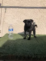 processed/01242441-9075-4842-a486-09b2fdadbd9b/listing/103af52a-e1e9-4806-8ba0-61964c227852/21d0653e-ad13-4309-9a64-99b1ef29e265