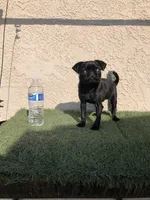 processed/01242441-9075-4842-a486-09b2fdadbd9b/listing/103af52a-e1e9-4806-8ba0-61964c227852/27d4d8d5-917b-49a0-b04d-6761208fb18d