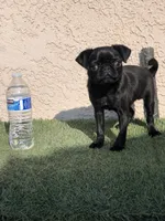 processed/01242441-9075-4842-a486-09b2fdadbd9b/listing/103af52a-e1e9-4806-8ba0-61964c227852/45cbff05-fa4f-4b9c-87dc-852b31546bfe