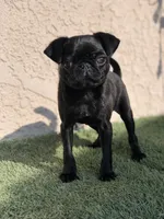 processed/01242441-9075-4842-a486-09b2fdadbd9b/listing/103af52a-e1e9-4806-8ba0-61964c227852/a722cf50-111e-458e-991c-1e39124e6566