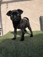 processed/01242441-9075-4842-a486-09b2fdadbd9b/listing/103af52a-e1e9-4806-8ba0-61964c227852/a8401bf9-ffff-42ca-a721-0cc6ef1dd175