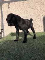 processed/01242441-9075-4842-a486-09b2fdadbd9b/listing/103af52a-e1e9-4806-8ba0-61964c227852/c4a38907-3344-4453-b251-b680ee17c45e