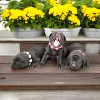 processed/012618fa-e792-4653-b978-a0cf2434c562/facility/3d50c0dc-2bb3-4962-861d-1859100d5bd4