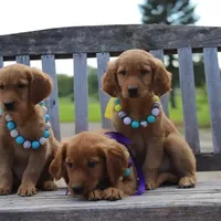 processed/012618fa-e792-4653-b978-a0cf2434c562/facility/4c32d572-fb0b-4b65-aa4d-cadf4f8e7c67