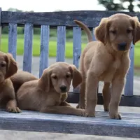 processed/012618fa-e792-4653-b978-a0cf2434c562/facility/8c90482e-8e05-40de-b37e-abdf25f683d0