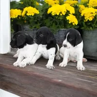 processed/012618fa-e792-4653-b978-a0cf2434c562/facility/bdda239d-2487-46ef-864a-95139d2999ed