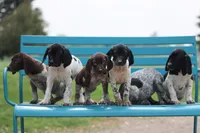 processed/012618fa-e792-4653-b978-a0cf2434c562/facility/fd8bee92-7983-44be-8fcf-af0045a8799b