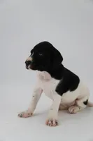 processed/012618fa-e792-4653-b978-a0cf2434c562/listing/7eeec3ef-a35d-49fb-8bd7-3a1eb9da6411/fffbe95c-051f-417c-92e4-6c157a4e379b