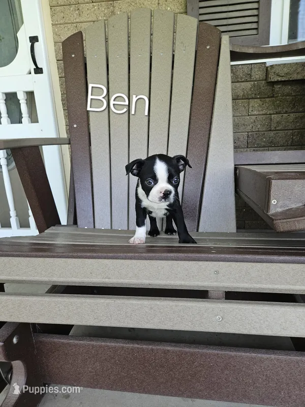 Ben