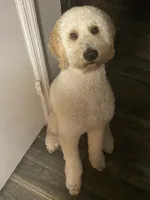 processed/012d63d5-1fe5-4838-b863-e60a09b66191/listing/6abe4aba-6b85-4ec7-a804-ee3783773df3/464444bc-a34a-40a6-8b74-8a407340c2bf