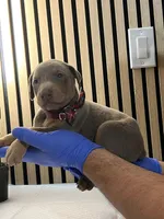 processed/0135e384-7a9e-4fb2-a4b1-1be27803e4ab/listing/18624c4d-1af2-40e4-bc81-0e7ca7c6f535/207b6bb2-7bcf-4439-90f3-2fcb6658d80e