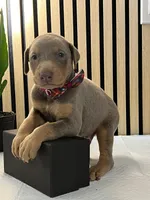 processed/0135e384-7a9e-4fb2-a4b1-1be27803e4ab/listing/18624c4d-1af2-40e4-bc81-0e7ca7c6f535/e9331254-1c1a-4dc8-8f3f-9b538b781b8a