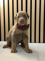 processed/0135e384-7a9e-4fb2-a4b1-1be27803e4ab/listing/18624c4d-1af2-40e4-bc81-0e7ca7c6f535/f7b4d58b-7ba9-4b5d-ac33-e5b85e4fc7be