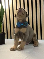 processed/0135e384-7a9e-4fb2-a4b1-1be27803e4ab/listing/288fcb00-1ee9-44f0-8301-3364a6e63236/3ba52d5b-3859-4df1-b359-6b138a6246fe