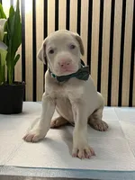 processed/0135e384-7a9e-4fb2-a4b1-1be27803e4ab/listing/2fef7ccc-50c0-449c-8dfd-46267afdd7c5/107e2c53-5980-4ae3-b42b-a8307bd231b9