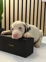 processed/0135e384-7a9e-4fb2-a4b1-1be27803e4ab/listing/2fef7ccc-50c0-449c-8dfd-46267afdd7c5/2e437a48-3b10-4c2a-b387-bbe0377d54ca