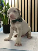 processed/0135e384-7a9e-4fb2-a4b1-1be27803e4ab/listing/2fef7ccc-50c0-449c-8dfd-46267afdd7c5/5c6ba848-4160-43c4-bc6d-922352efbe93