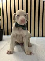 processed/0135e384-7a9e-4fb2-a4b1-1be27803e4ab/listing/2fef7ccc-50c0-449c-8dfd-46267afdd7c5/61d290f9-067b-4689-a372-d1291763c7b0