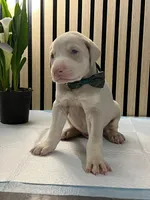 processed/0135e384-7a9e-4fb2-a4b1-1be27803e4ab/listing/2fef7ccc-50c0-449c-8dfd-46267afdd7c5/ec975de2-313a-4c3d-a621-0fd5631b77d1