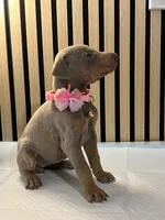 processed/0135e384-7a9e-4fb2-a4b1-1be27803e4ab/listing/34488c17-ce93-4907-a3e5-e34819c3ee33/31df9e73-d7e7-4380-9381-8f9db003c1ca