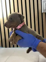 processed/0135e384-7a9e-4fb2-a4b1-1be27803e4ab/listing/34488c17-ce93-4907-a3e5-e34819c3ee33/437abec2-2272-41ff-89a8-a808941889a1