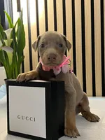 processed/0135e384-7a9e-4fb2-a4b1-1be27803e4ab/listing/34488c17-ce93-4907-a3e5-e34819c3ee33/69bbf7ea-f8ba-4ae5-b5c9-a09a2d7dbcea