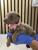 processed/0135e384-7a9e-4fb2-a4b1-1be27803e4ab/listing/34488c17-ce93-4907-a3e5-e34819c3ee33/7e5bc2a3-93f7-409d-bed0-dde3e90df0ca