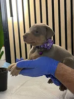 processed/0135e384-7a9e-4fb2-a4b1-1be27803e4ab/listing/4cc632a6-79c8-4181-90e7-f1041029cc8f/8dd168b6-1062-46c4-8c72-862622265bf0