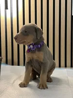 processed/0135e384-7a9e-4fb2-a4b1-1be27803e4ab/listing/4cc632a6-79c8-4181-90e7-f1041029cc8f/9781d69f-ae7d-4e02-ae94-be1f3e3d018a