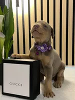 processed/0135e384-7a9e-4fb2-a4b1-1be27803e4ab/listing/4cc632a6-79c8-4181-90e7-f1041029cc8f/ae187bc5-453d-4931-b153-c7e08de64248