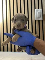 processed/0135e384-7a9e-4fb2-a4b1-1be27803e4ab/listing/4cc632a6-79c8-4181-90e7-f1041029cc8f/f1b1d384-3bb4-4754-ac74-e0cdbc92b4c6