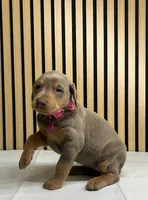 processed/0135e384-7a9e-4fb2-a4b1-1be27803e4ab/listing/56e0438b-d1fe-4dd8-b137-96a9a102b8aa/58edbdcb-c219-4225-a337-76aa989f3d53