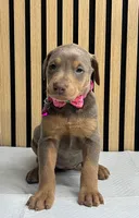 processed/0135e384-7a9e-4fb2-a4b1-1be27803e4ab/listing/77f52364-c305-40a8-a02f-9163a9ed3e14/09bb7ce9-07df-4686-9b53-f5acdeecb90d