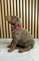 processed/0135e384-7a9e-4fb2-a4b1-1be27803e4ab/listing/77f52364-c305-40a8-a02f-9163a9ed3e14/d5f97618-01e9-4340-9192-dc3d0f613b27