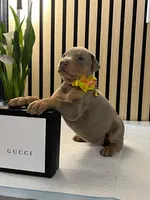 processed/0135e384-7a9e-4fb2-a4b1-1be27803e4ab/listing/8fe1300a-196a-434d-be23-f62a833a6913/087f8281-b3ce-4a1f-83a2-d30fcbd74e58