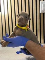 processed/0135e384-7a9e-4fb2-a4b1-1be27803e4ab/listing/8fe1300a-196a-434d-be23-f62a833a6913/81d510ec-9595-404b-98a1-c7c9b53fc75c