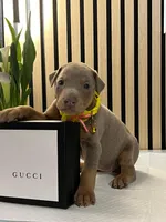 processed/0135e384-7a9e-4fb2-a4b1-1be27803e4ab/listing/8fe1300a-196a-434d-be23-f62a833a6913/e5011305-10cb-4651-a7f2-76e4dbf1c99e